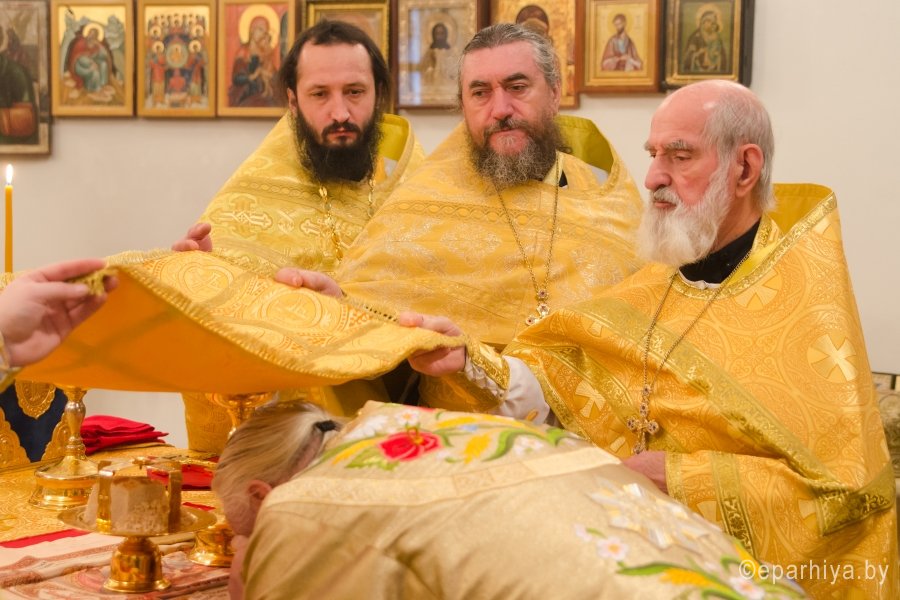 1449411547__dsc2817_02